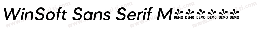 WinSoft Sans Serif M字体转换